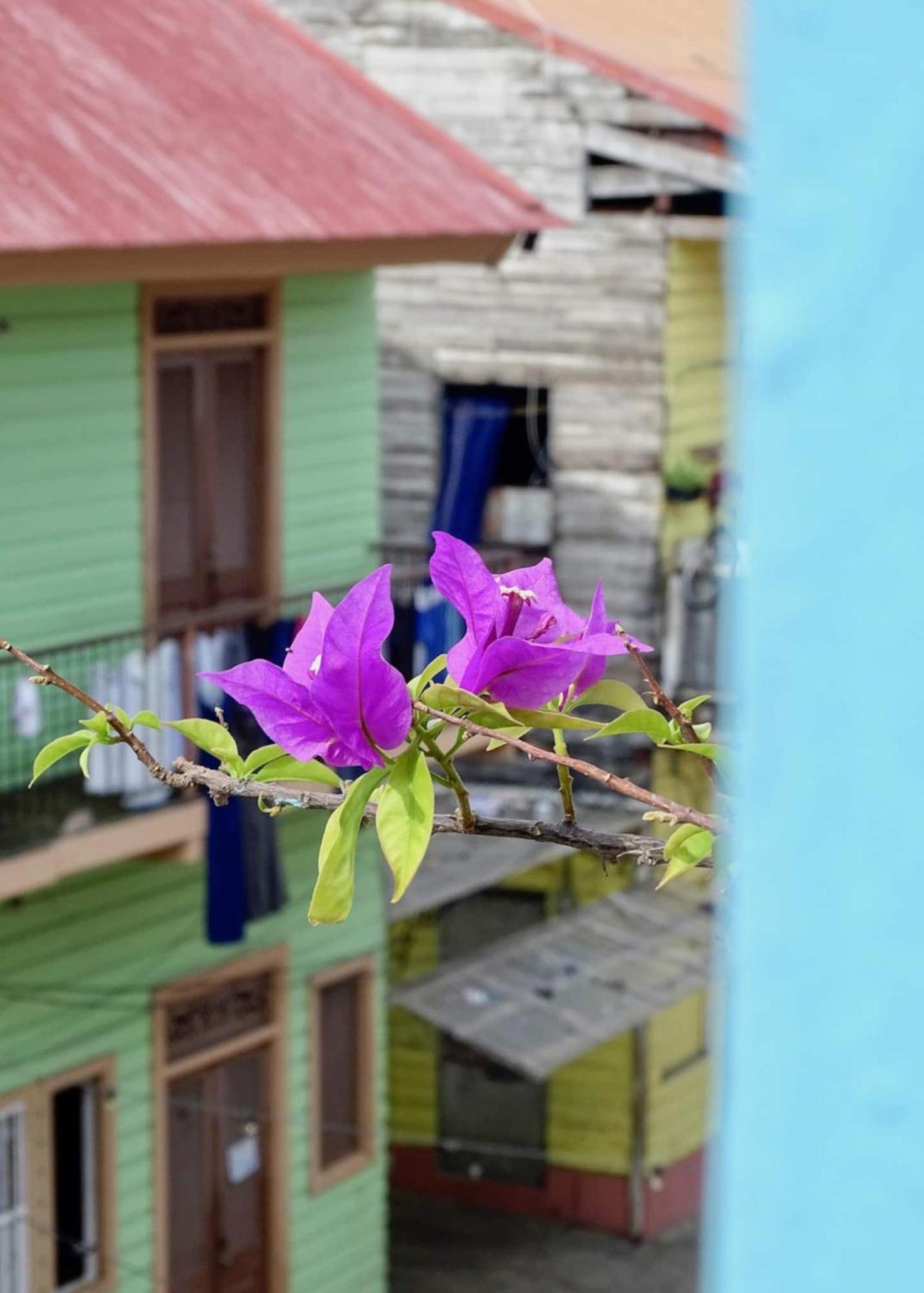 Bocas Style Apartment - Casco Viejo مدينة باناما المظهر الخارجي الصورة